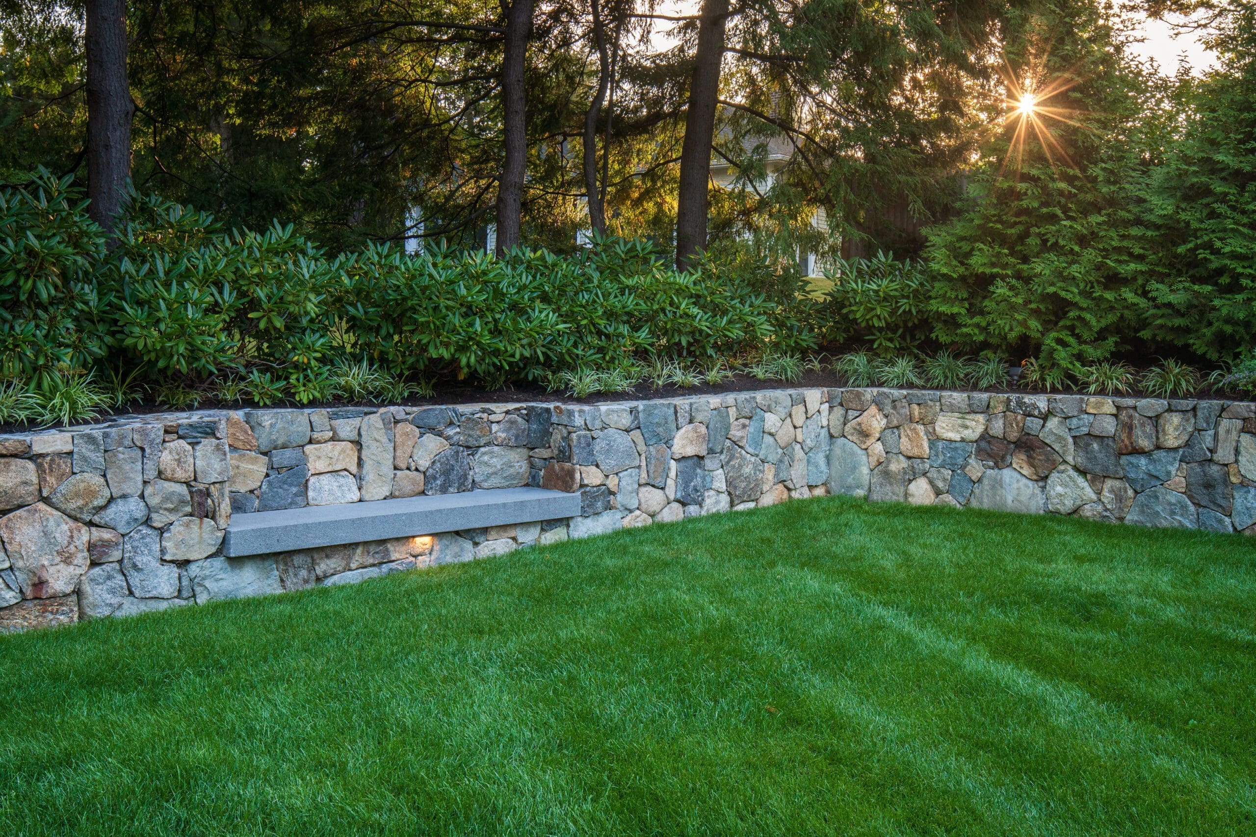 Lynch_Jacobs_HR_221015-13 A nice green lawn after a service by the lawn care service Lynch Landscape in Sudbury, MA
