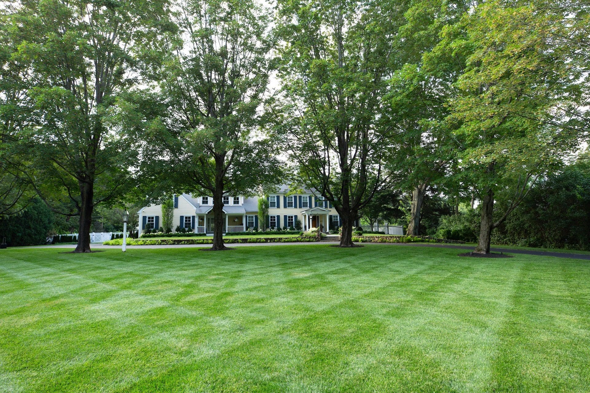 a nice green lawn from the lawn care service Lynch Landscape in Massachusetts
