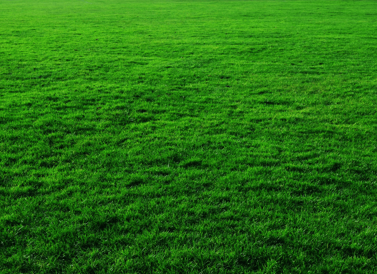  - Lynch Landscape & Tree Service