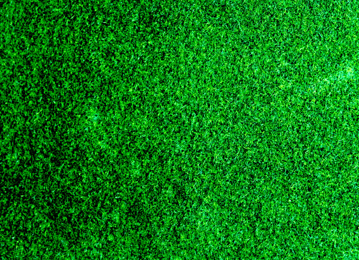  - Lynch Landscape & Tree Service