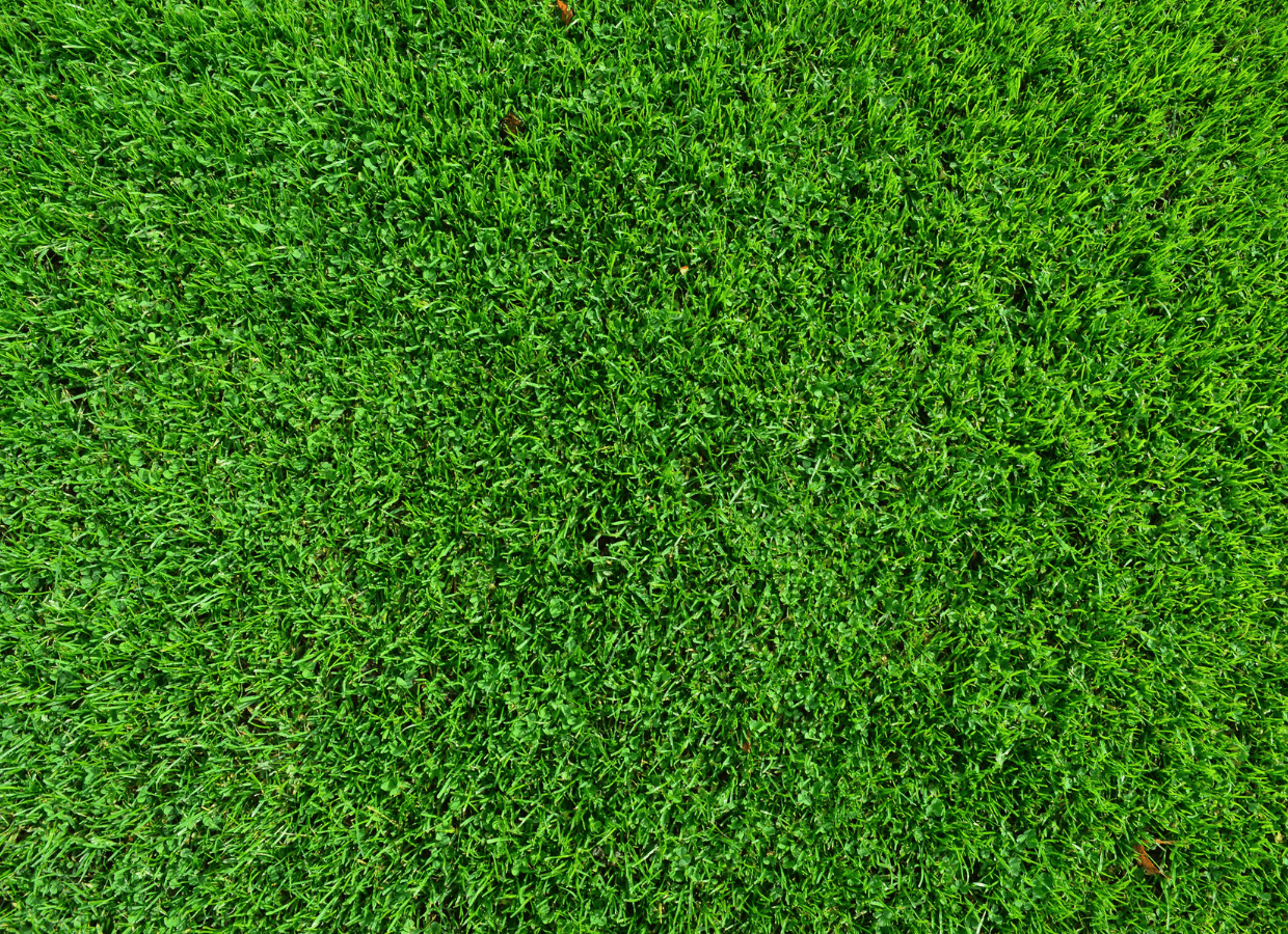  - Lynch Landscape & Tree Service