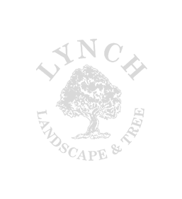 lynch-light-logo