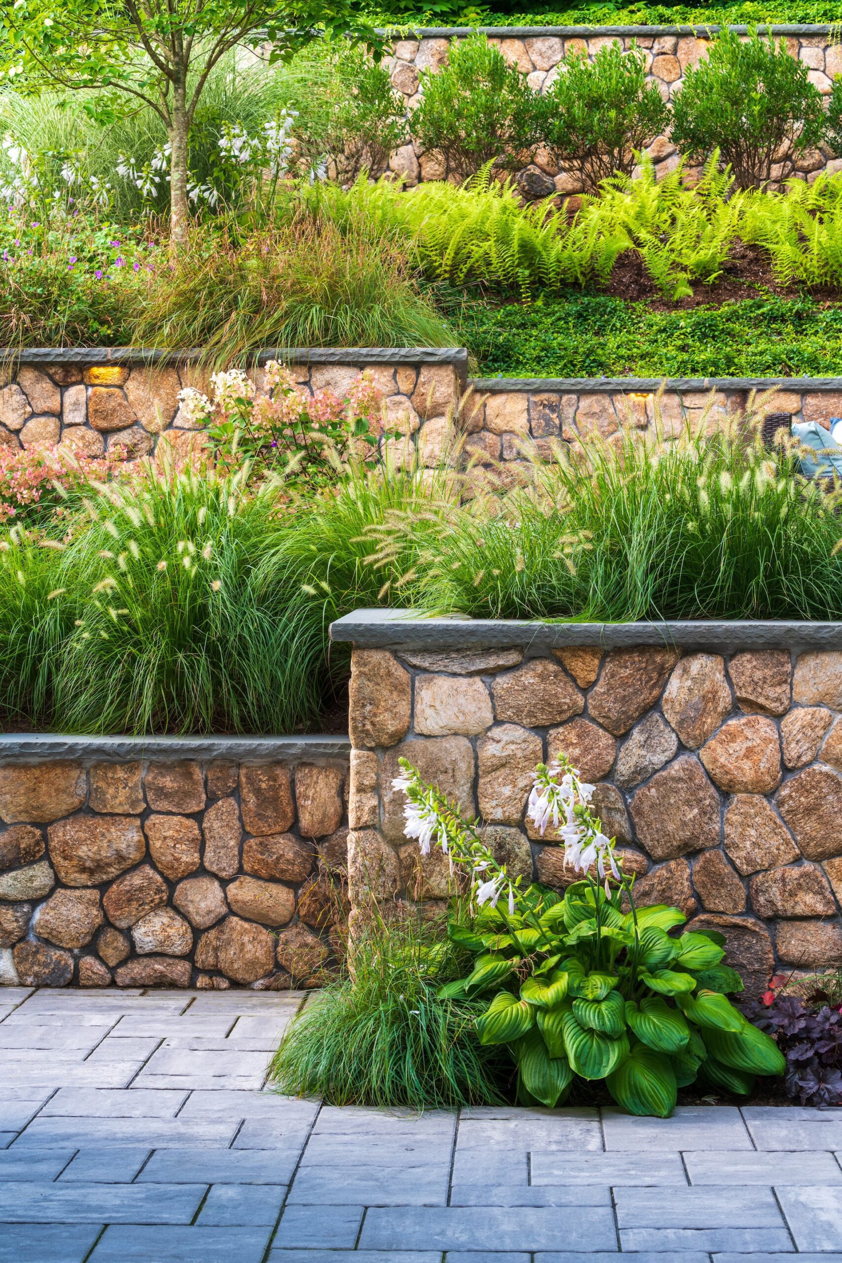Massachusetts Landscape Design featuring a stone walkway by Lynch Landscape