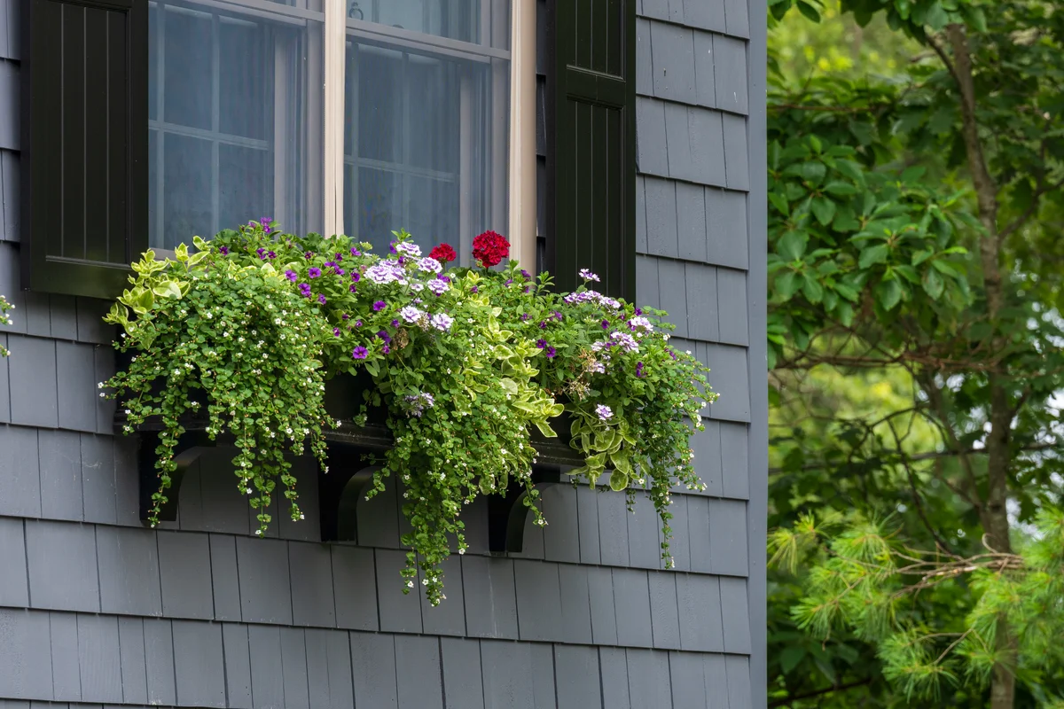 fine gardening container design in Massachusetts